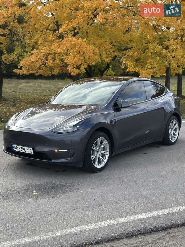 Внедорожник / Кроссовер Tesla Model Y 2023 в 