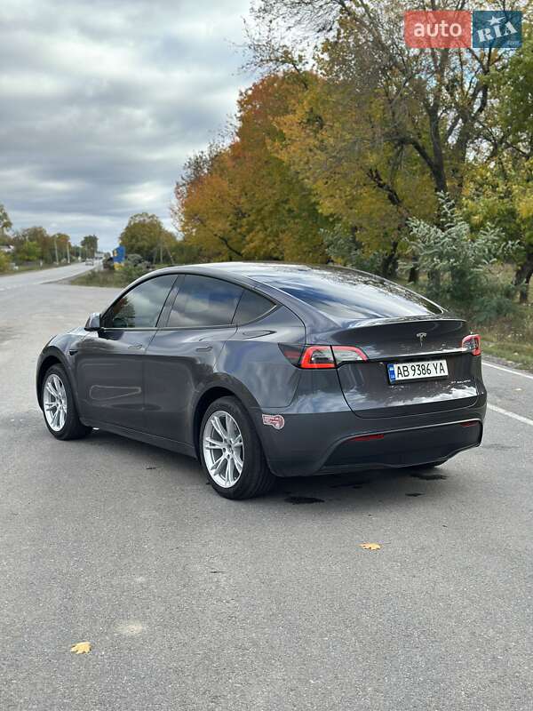 Внедорожник / Кроссовер Tesla Model Y 2023 в Виннице