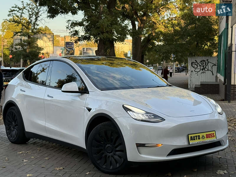 Внедорожник / Кроссовер Tesla Model Y 2021 в Николаеве