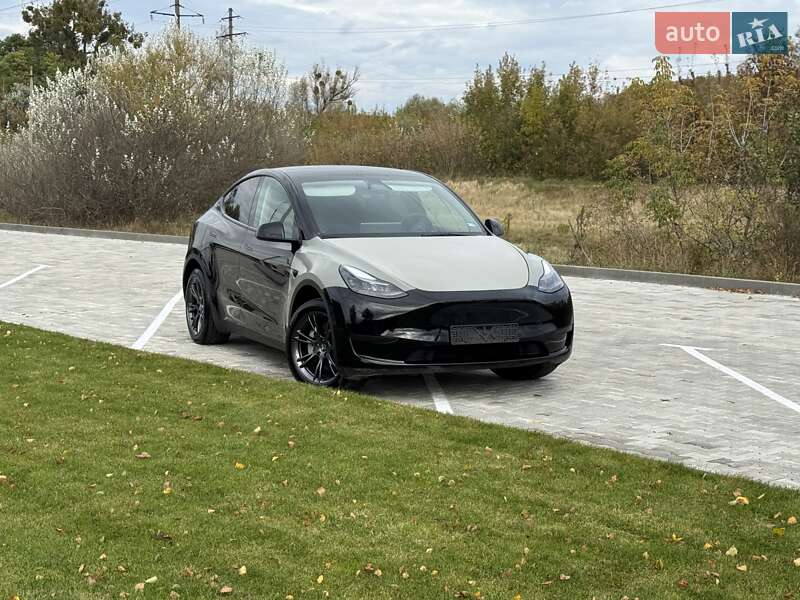 Внедорожник / Кроссовер Tesla Model Y 2024 в Сарнах