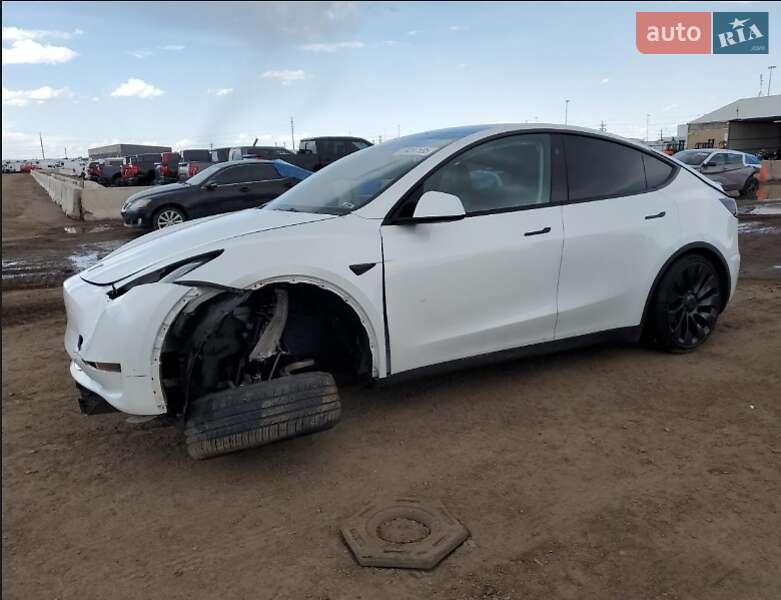 Внедорожник / Кроссовер Tesla Model Y 2023 в Львове фото 10 Внедорожник / Кроссовер Tesla Model Y 2023 в Львове