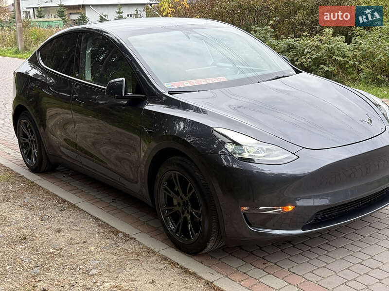 Позашляховик / Кросовер Tesla Model Y 2024 в Львові