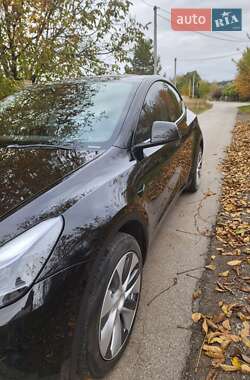 Внедорожник / Кроссовер Tesla Model Y 2022 в Киеве