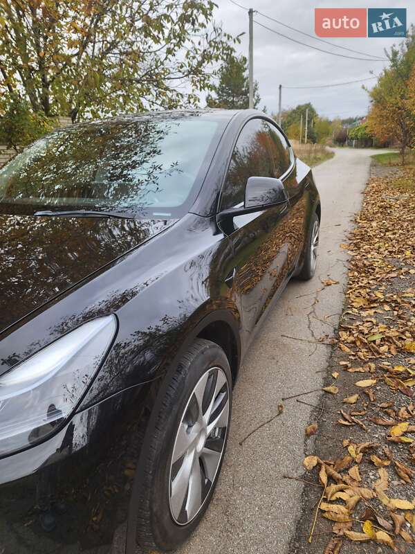 Позашляховик / Кросовер Tesla Model Y 2022 в Києві