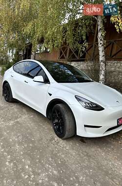 Внедорожник / Кроссовер Tesla Model Y 2023 в Тернополе