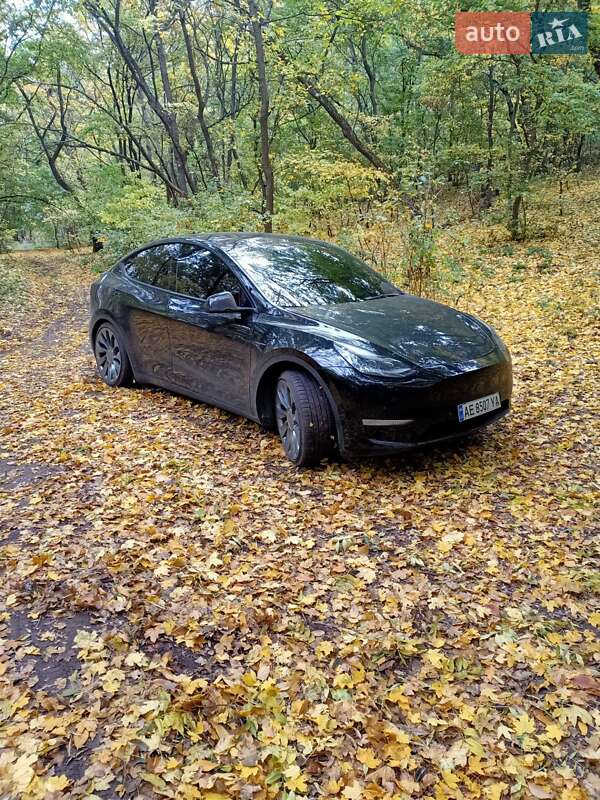 Внедорожник / Кроссовер Tesla Model Y 2021 в Днепре