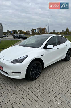 Внедорожник / Кроссовер Tesla Model Y 2024 в Львове