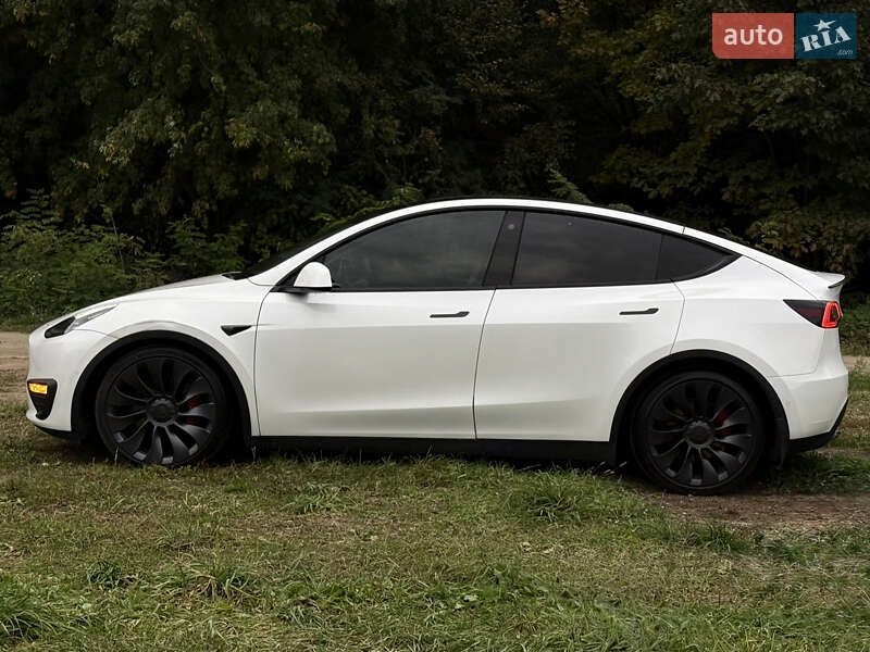 Позашляховик / Кросовер Tesla Model Y 2022 в Городку фото 10 Позашляховик / Кросовер Tesla Model Y 2022 в Городку