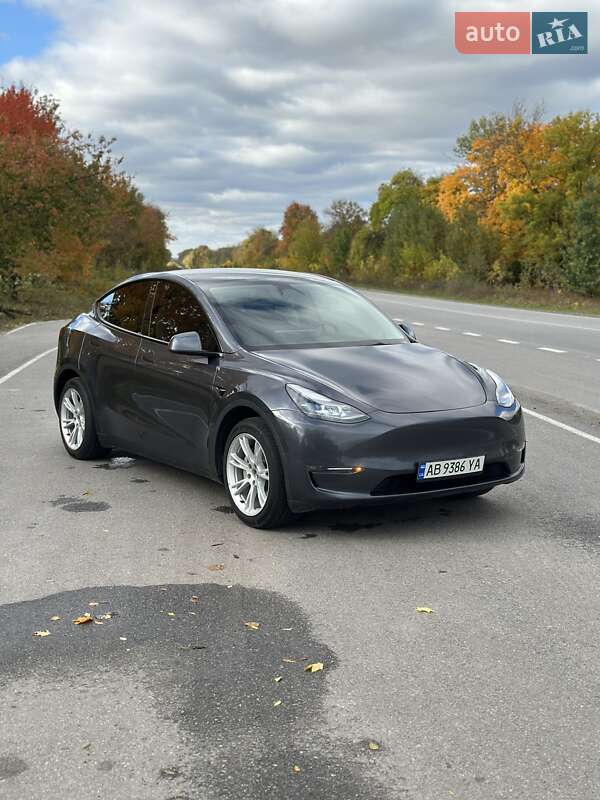 Внедорожник / Кроссовер Tesla Model Y 2023 в Виннице