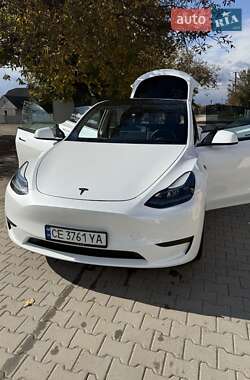 Позашляховик / Кросовер Tesla Model Y 2024 в Новоселиці