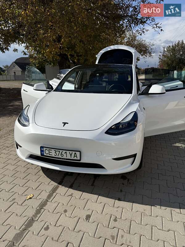 Внедорожник / Кроссовер Tesla Model Y 2024 в Новоселице фото 5 Внедорожник / Кроссовер Tesla Model Y 2024 в Новоселице