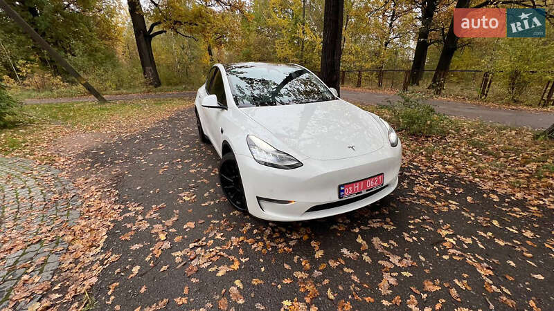 Внедорожник / Кроссовер Tesla Model Y 2020 в Житомире