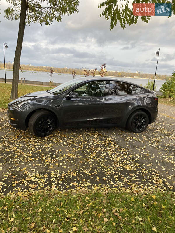 Позашляховик / Кросовер Tesla Model Y 2024 в Києві