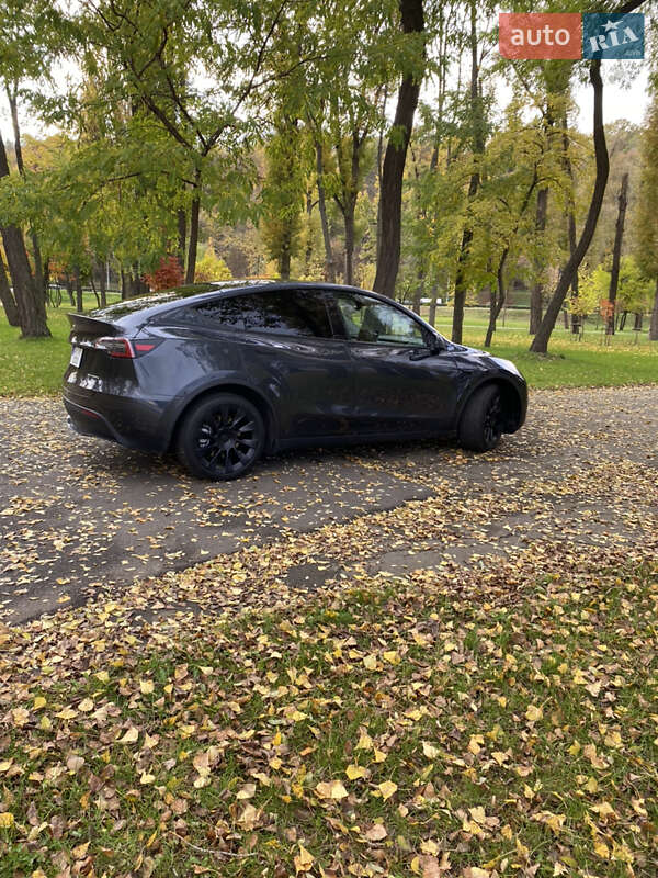 Позашляховик / Кросовер Tesla Model Y 2024 в Києві