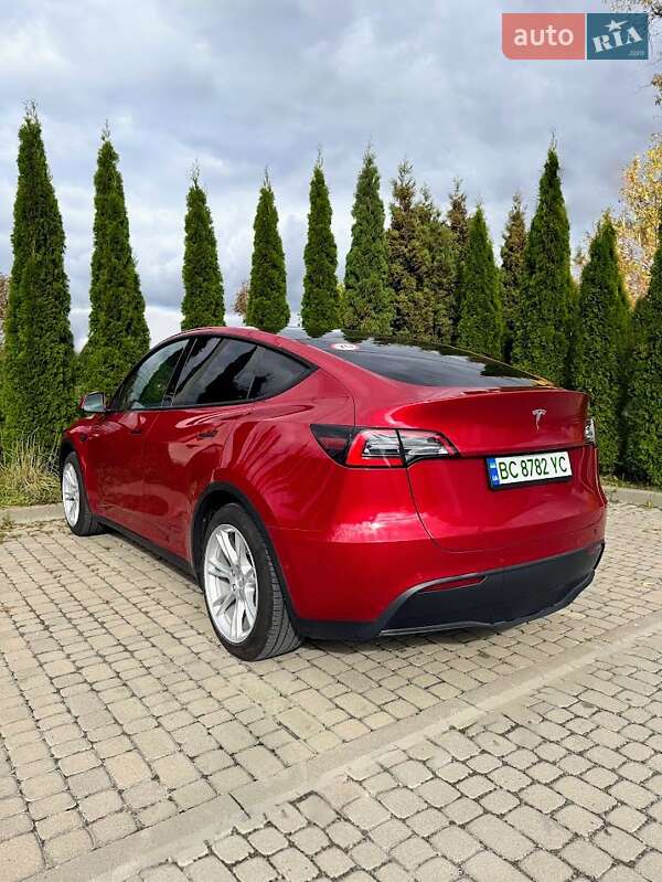 Позашляховик / Кросовер Tesla Model Y 2021 в Львові фото 5 Позашляховик / Кросовер Tesla Model Y 2021 в Львові