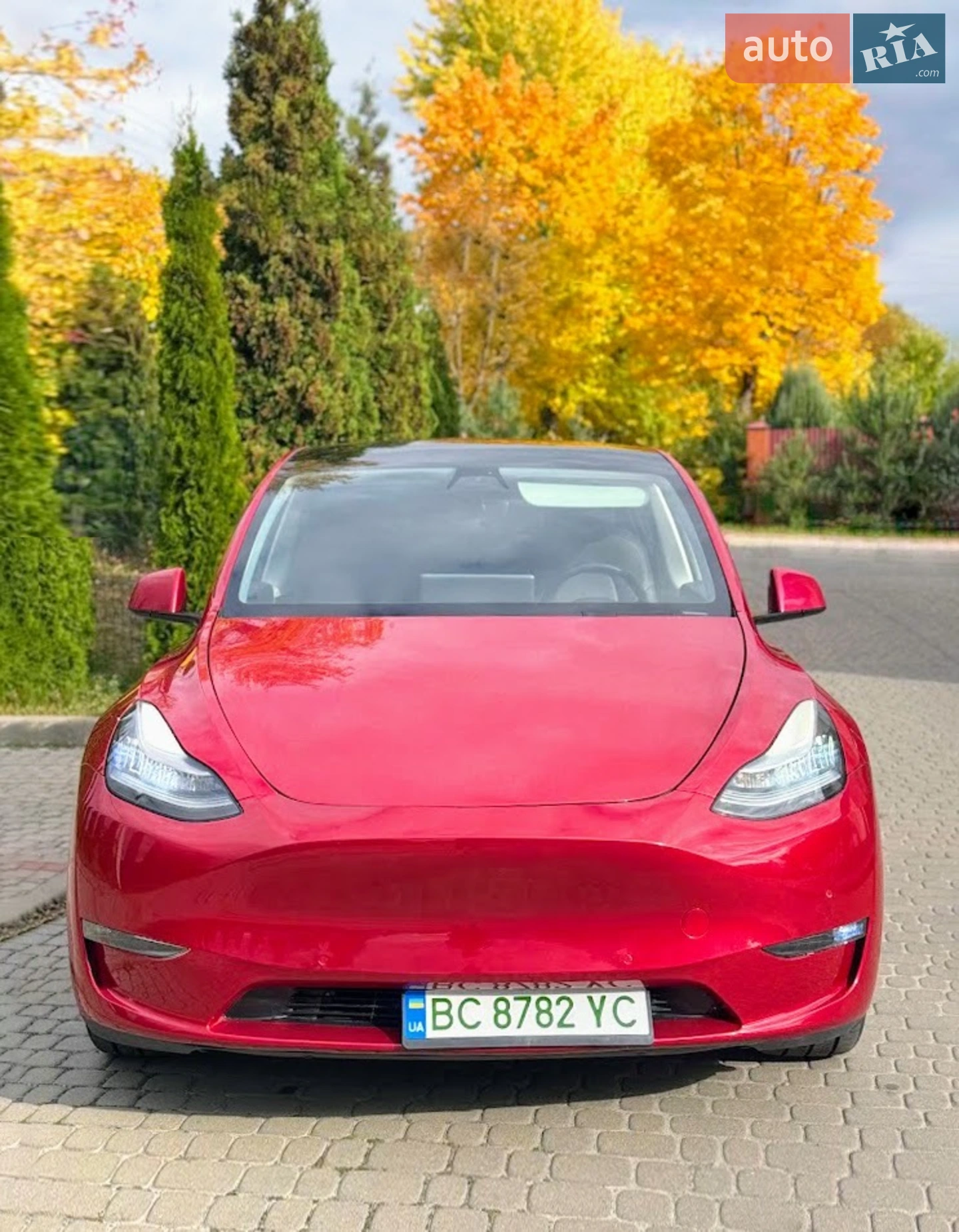 2021 Tesla Model Y - фото 1