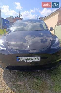 Внедорожник / Кроссовер Tesla Model Y 2024 в Черновцах