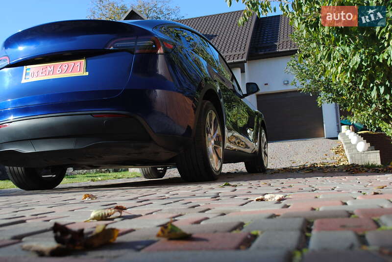 Внедорожник / Кроссовер Tesla Model Y 2024 в Луцке