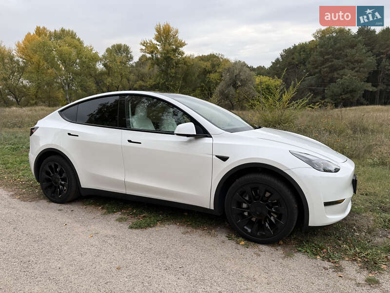 Внедорожник / Кроссовер Tesla Model Y 2021 в Запорожье