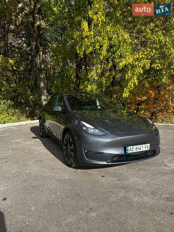 Внедорожник / Кроссовер Tesla Model Y 2021 в Каменском