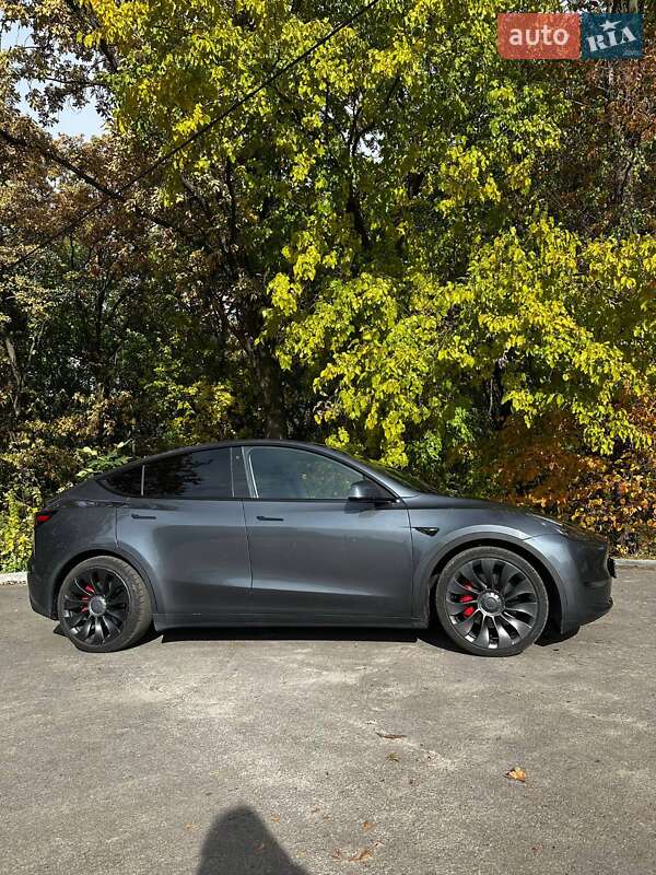 Внедорожник / Кроссовер Tesla Model Y 2021 в Каменском