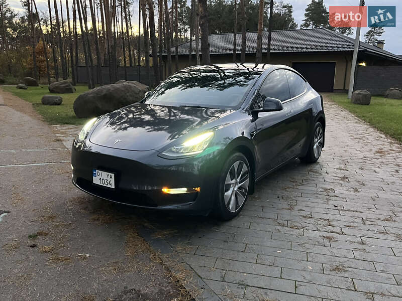 Позашляховик / Кросовер Tesla Model Y 2022 в Житомирі фото 23 Позашляховик / Кросовер Tesla Model Y 2022 в Житомирі