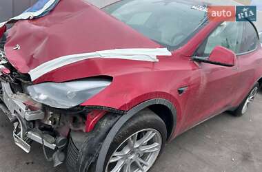 Позашляховик / Кросовер Tesla Model Y 2023 в Львові