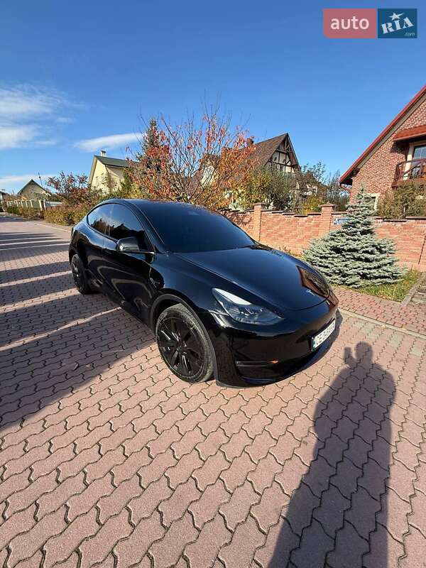 Внедорожник / Кроссовер Tesla Model Y 2024 в Черновцах