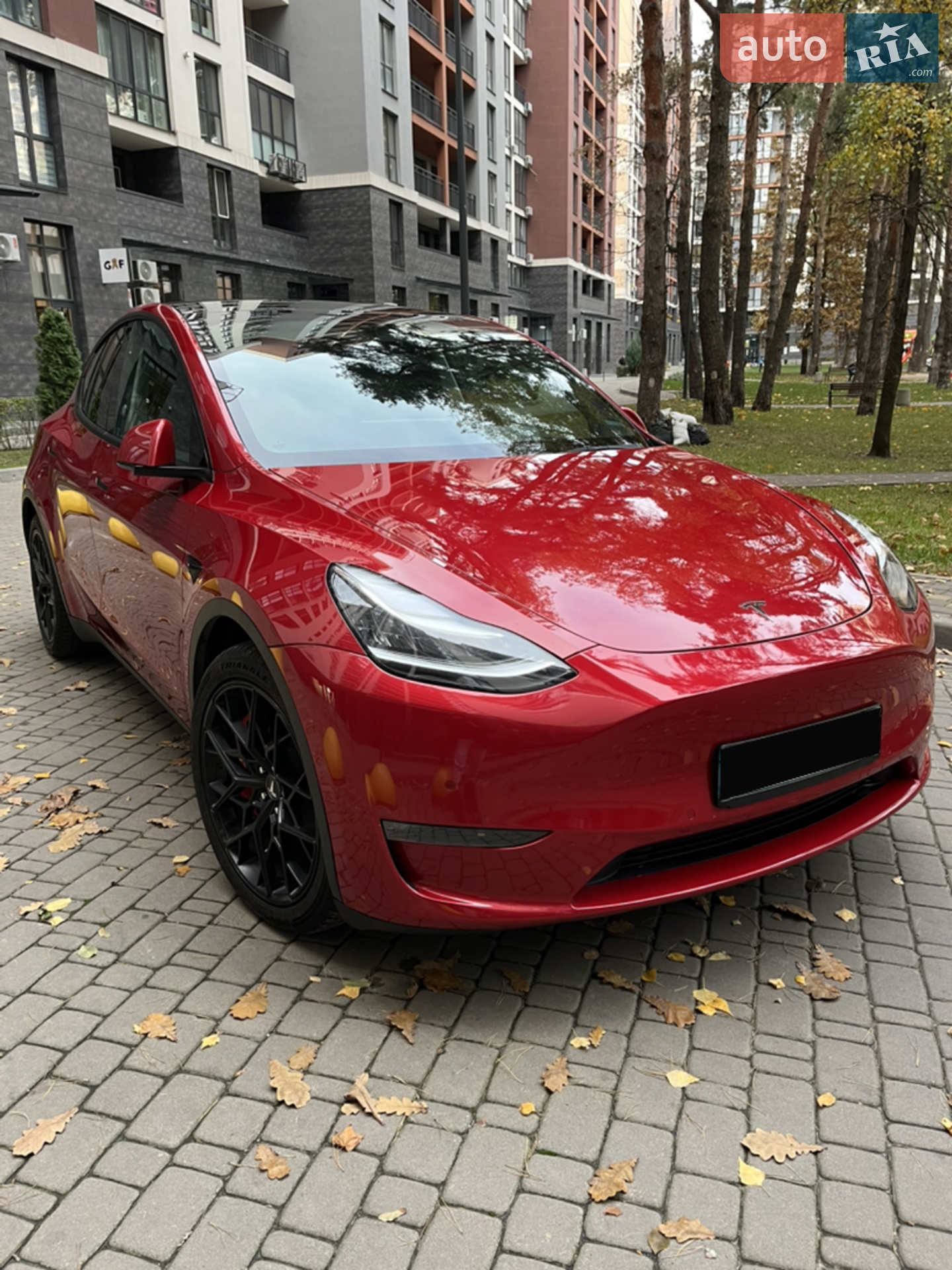 2022 Tesla Model Y - мініатюра 19