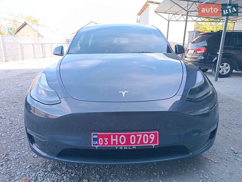 Позашляховик / Кросовер Tesla Model Y 2023 в Дніпрі