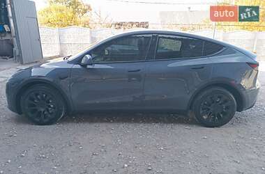 Внедорожник / Кроссовер Tesla Model Y 2023 в Днепре