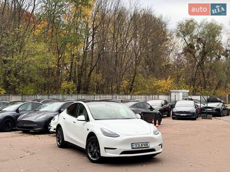 Позашляховик / Кросовер Tesla Model Y 2024 в Києві