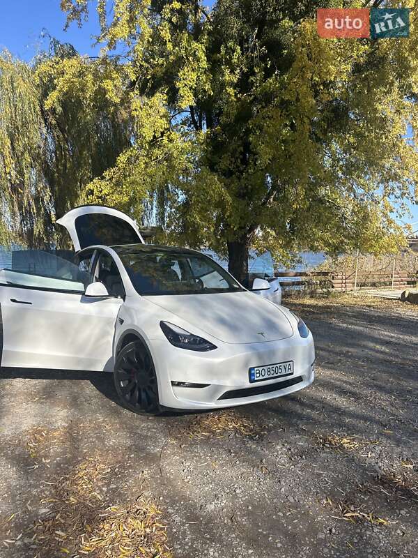 Внедорожник / Кроссовер Tesla Model Y 2022 в Бережанах