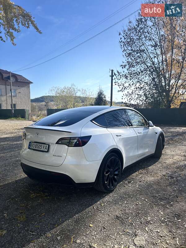 Внедорожник / Кроссовер Tesla Model Y 2022 в Бережанах