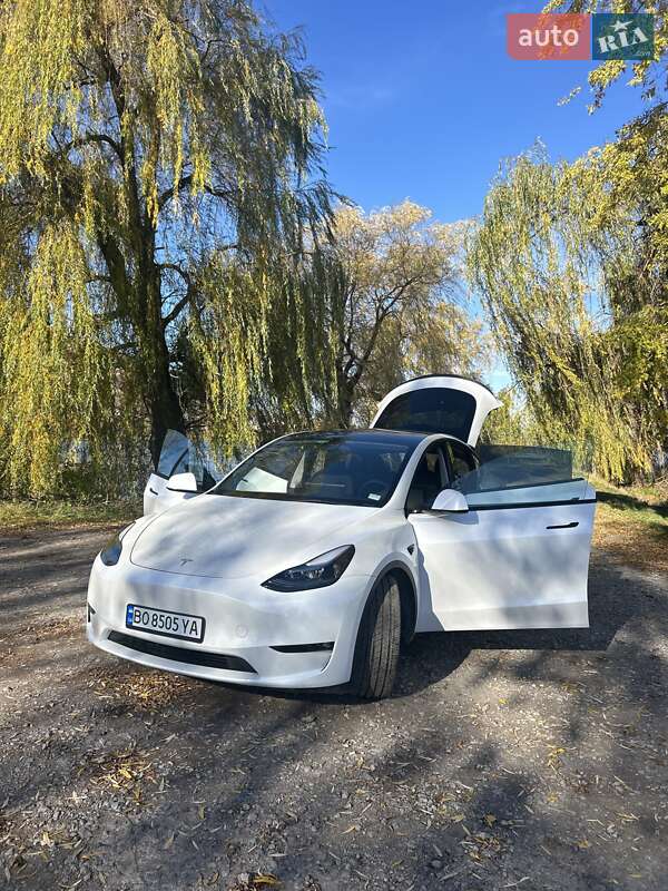 Внедорожник / Кроссовер Tesla Model Y 2022 в Бережанах