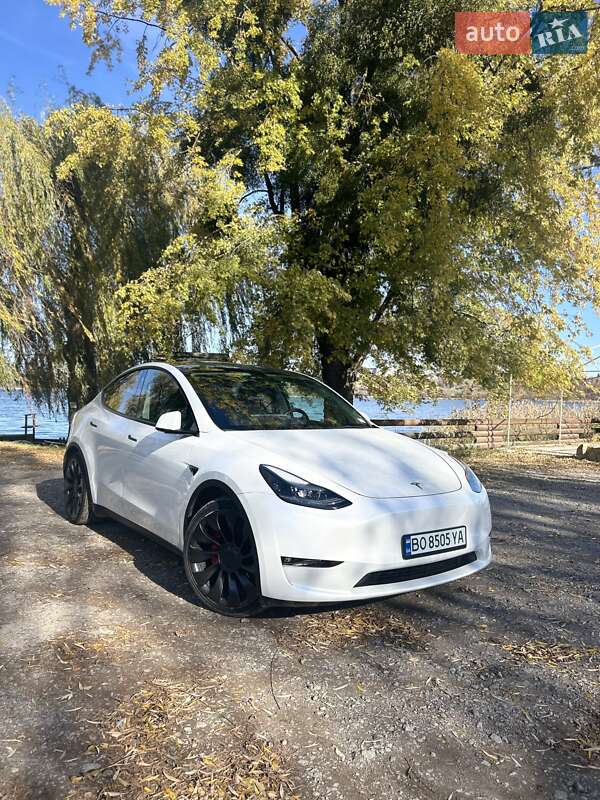 Внедорожник / Кроссовер Tesla Model Y 2022 в Бережанах