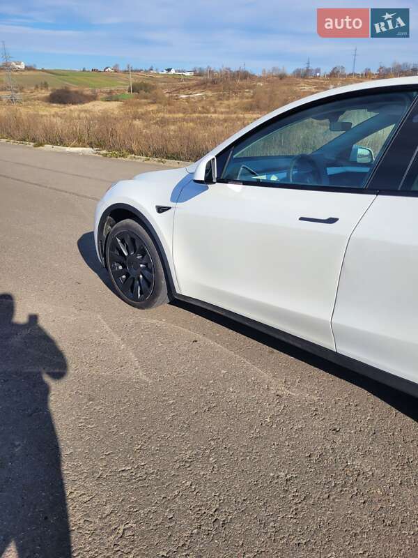 Позашляховик / Кросовер Tesla Model Y 2023 в Львові