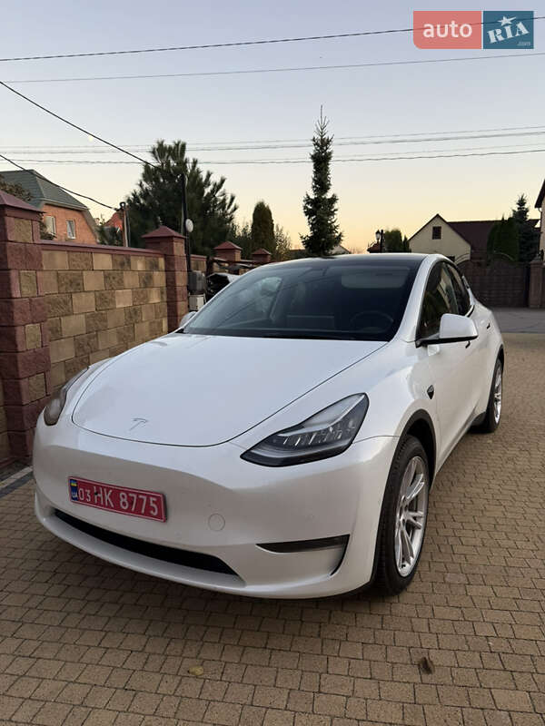 Позашляховик / Кросовер Tesla Model Y 2021 в Луцьку фото 10 Позашляховик / Кросовер Tesla Model Y 2021 в Луцьку