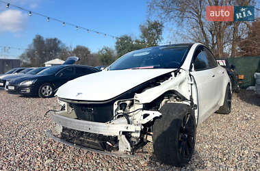 Позашляховик / Кросовер Tesla Model Y 2020 в Києві