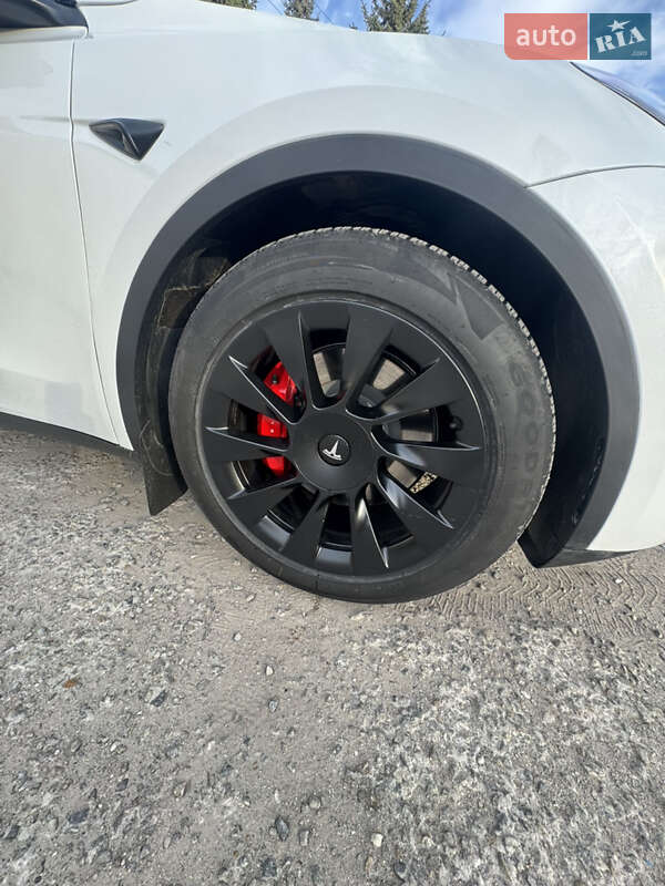 Внедорожник / Кроссовер Tesla Model Y 2023 в Запорожье