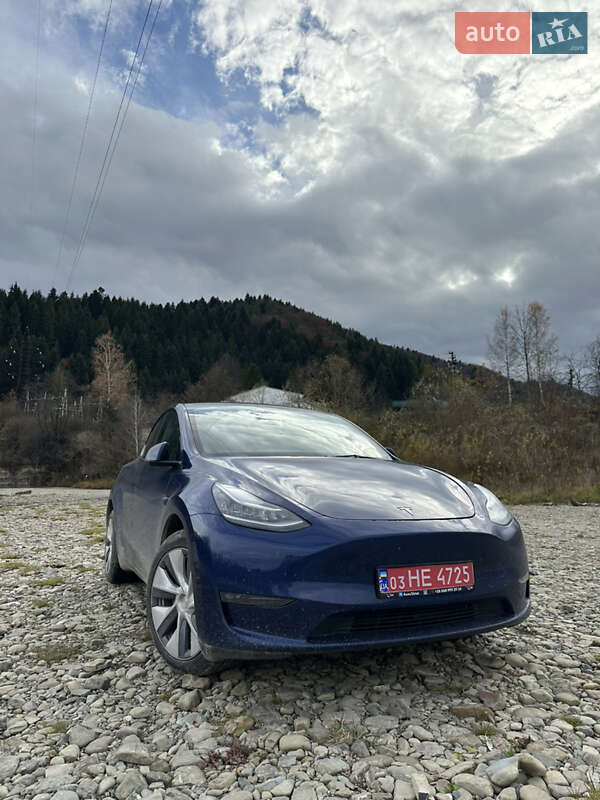 Позашляховик / Кросовер Tesla Model Y 2023 в Рівному
