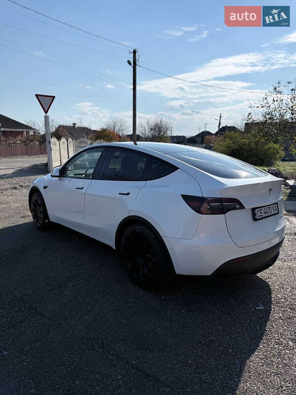 Внедорожник / Кроссовер Tesla Model Y 2023 в Черновцах