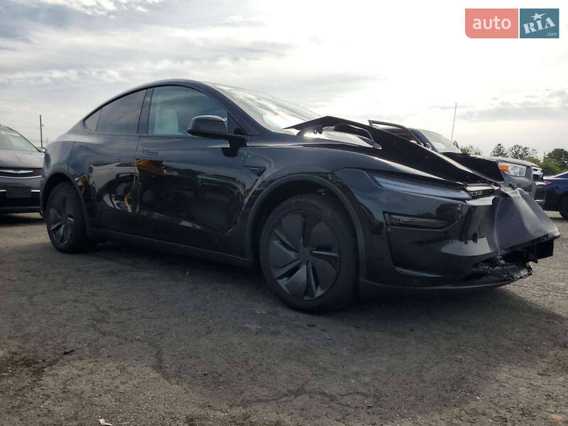 Внедорожник / Кроссовер Tesla Model Y 2025 в Черновцах фото 8 Внедорожник / Кроссовер Tesla Model Y 2025 в Черновцах