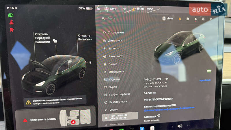 Позашляховик / Кросовер Tesla Model Y 2021 в Луцьку фото 13 Позашляховик / Кросовер Tesla Model Y 2021 в Луцьку