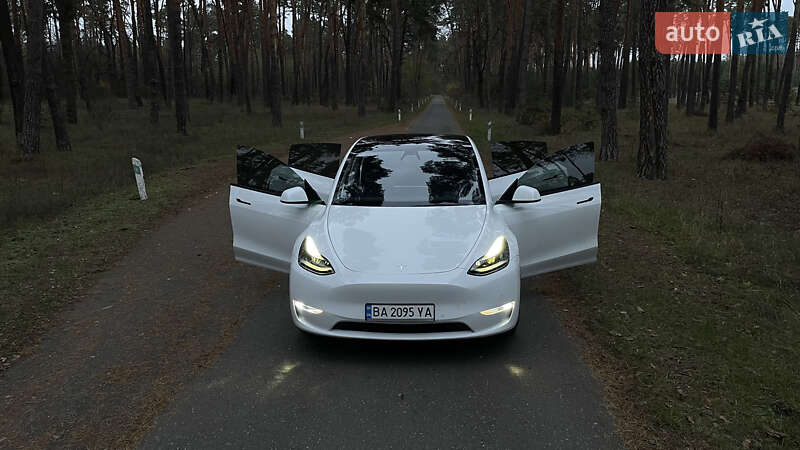 Позашляховик / Кросовер Tesla Model Y 2022 в Олександрівці