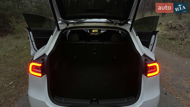 Позашляховик / Кросовер Tesla Model Y 2022 в Олександрівці