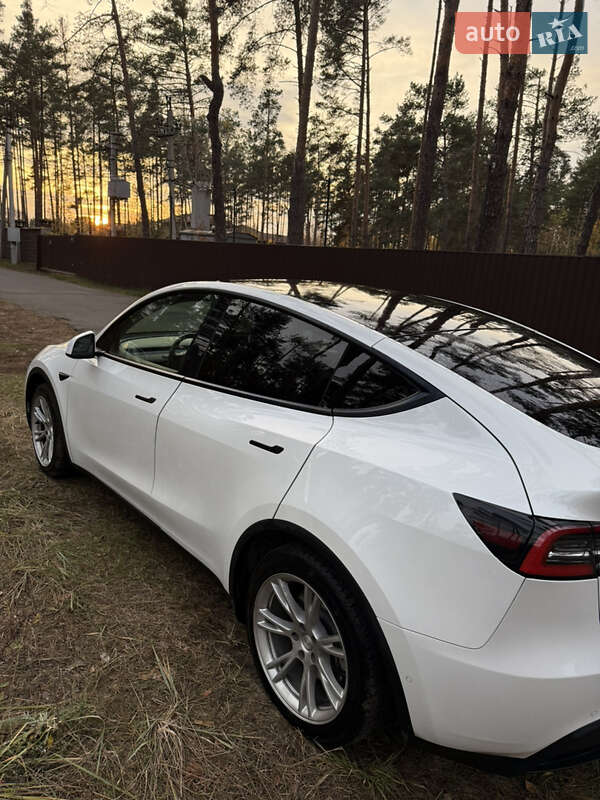 Позашляховик / Кросовер Tesla Model Y 2021 в Києві