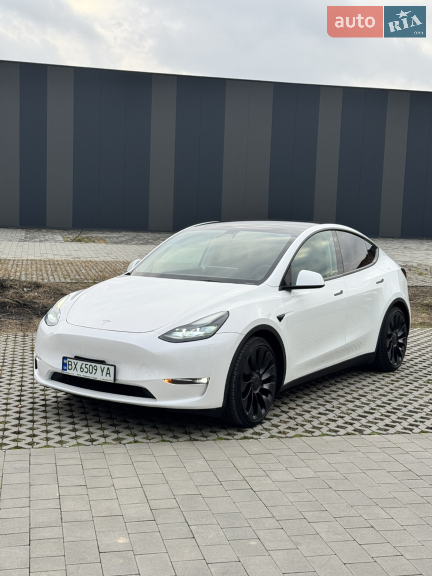 2022 Tesla Model Y - фото 1