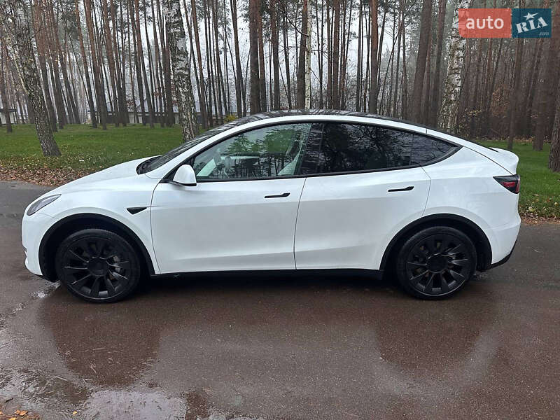 Внедорожник / Кроссовер Tesla Model Y 2023 в Василькове