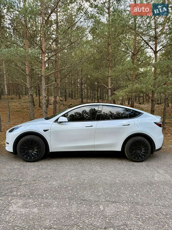 Позашляховик / Кросовер Tesla Model Y 2024 в Києві